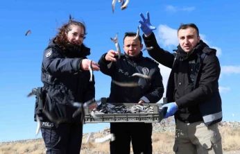 Doğu'nun gizli denizinde şefkat eli: Polis ekipleri martı ve tavşanları unutmadı