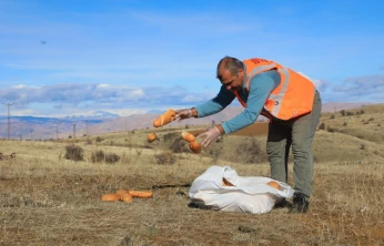 Elazığ Belediyesi Doğaya Yem Bıraktı