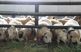 Elazığ'da 6 köy karantinaya alındı