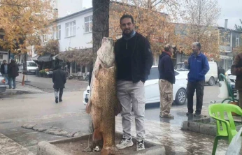 Elazığ'da 60 kiloluk turna balığı yakalandı
