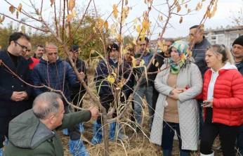 Elazığ'da ağaç budama ve aşılama eğitimi