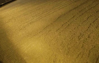 Elazığ'da araçların camları buz tuttu