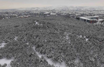 Elazığ'da beton yığınlarının arasındaki beyaz vaha mest etti