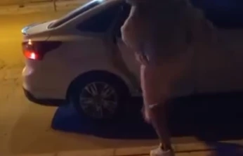 Elazığ'da bir kadın, tartıştığı şahsın arabasına saldırdı