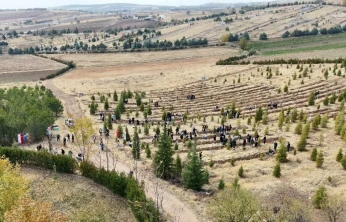 Elazığ'da Doğu Türkistan ve Filistin için fidan diktiler