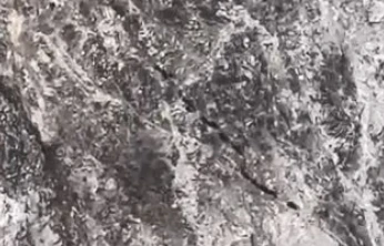 Elazığ'da domuz sürüsü görüntülendi