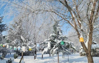 Elazığ'da dondurucu soğuklar: Karakoçan'da termometreler -22'yi gösterdi
