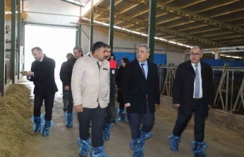 Elazığ'da hayvancılık altyapısı yerinde incelendi