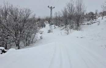Elazığ'da kar başladı, 311  köy yolu ulaşıma kapandı
