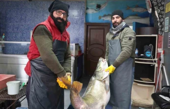 Elazığ'da yakalanan 78 kilogram ağırlığındaki turna balığını iki kişi zor taşıdı
