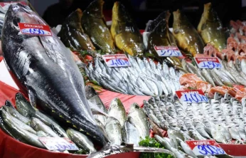 Elazığ Kapalı Çarşı'da 85 kiloluk orkinos tezgaha indi