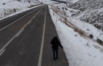 Kuşlar için yol kenarlarına buğday serptiler