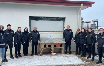 Sivrice polisinden üşüyen minik dostlarına kedi evi