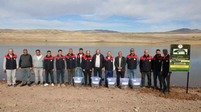 Elazığ'da Su Kaynakları Balıklandırma Projesi sürüyor