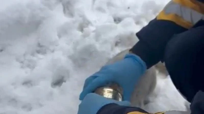 Kedinin başına sıkışan konserveyi sağlık ekipleri çıkardı