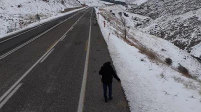 Kuşlar için yol kenarlarına buğday serptiler