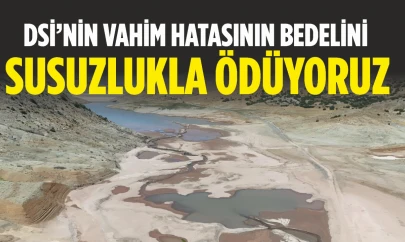 Dsi'nin Vahim Hatasının Bedelini Susuzlukla Ödüyoruz