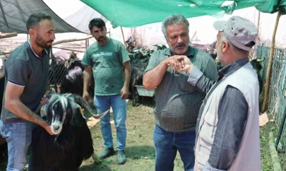Elazığ'da 'kol kıran' pazarlıklar sürüyor