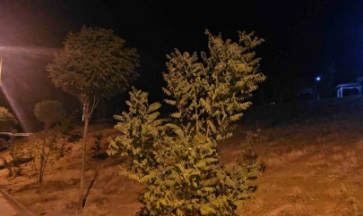 Elazığ'da kuvvetli rüzgar etkisini sürdürüyor
