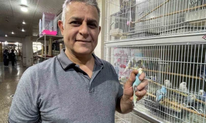 Elazığ'da muhabbet kuşlarına yoğun ilgi
