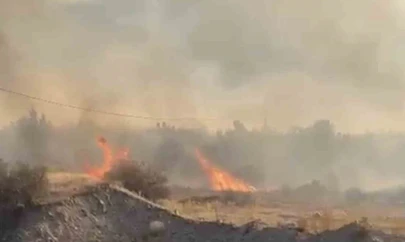 Elazığ'da örtü yangını söndürüldü