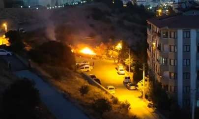 Elazığ'da ot yangını
