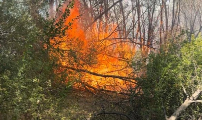 Elazığ'da otluk alanda yangın