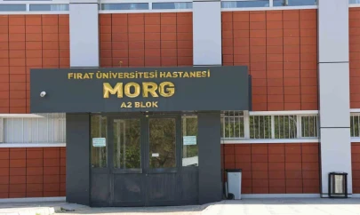 Elazığ'da uçurumdan düşen genç hayatını kaybetti