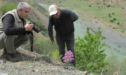 Elazığ'da Ulusal Biyolojik Çeşitlilik ve Envanter İzleme Projesi çalışması