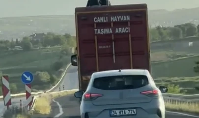 Kamyonun üzerinde tehlikeli yolculuk kamerada