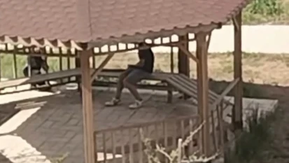 Elazığ'da kamelyalara zarar verdiler