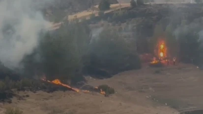 Elazığ'da kırsal alan yangını
