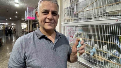 Elazığ'da muhabbet kuşlarına yoğun ilgi
