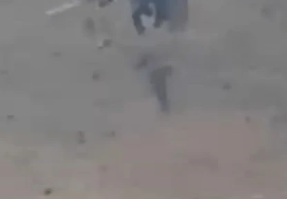 Arıyı ağına düşürüp etrafını sardı