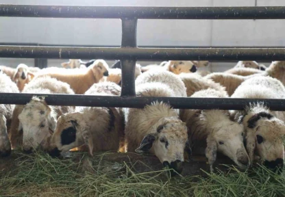 Elazığ'da 6 köy karantinaya alındı