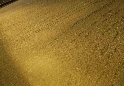 Elazığ'da araçların camları buz tuttu