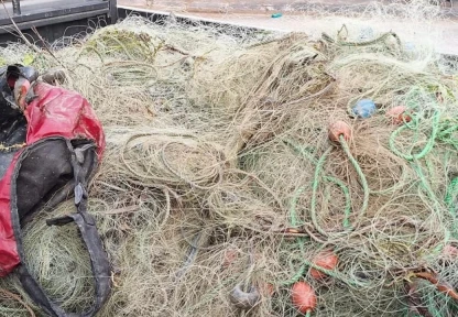 Elazığ'da su ürünleri av yasağı sona erdi, 136 kişiye 1 milyon lira ceza kesildi