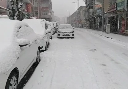Elazığ'ın ilçelerinde kar yağışı etkili oldu