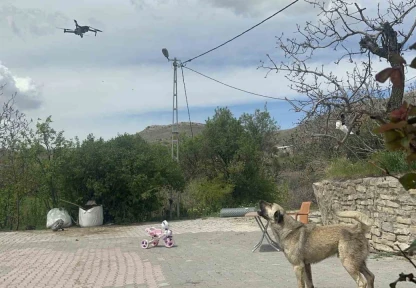 Köpeğin dron ile imtihanı gülümsetti