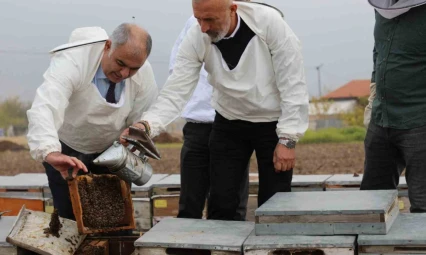 Elazığ arı kovanları incelendi