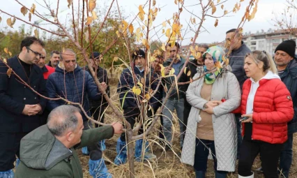 Elazığ'da ağaç budama ve aşılama eğitimi