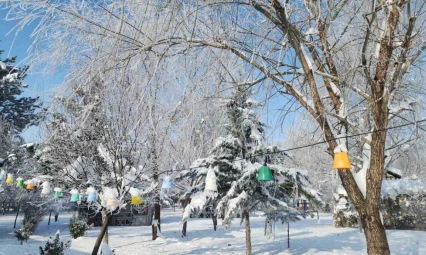 Elazığ'da dondurucu soğuklar: Karakoçan'da termometreler -22'yi gösterdi