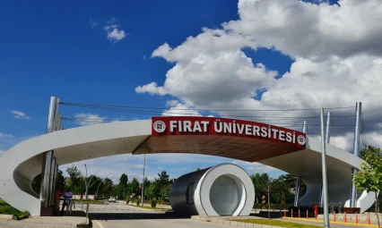 FÜ, Türkiye'nin en iyi 17. üniversitesi oldu