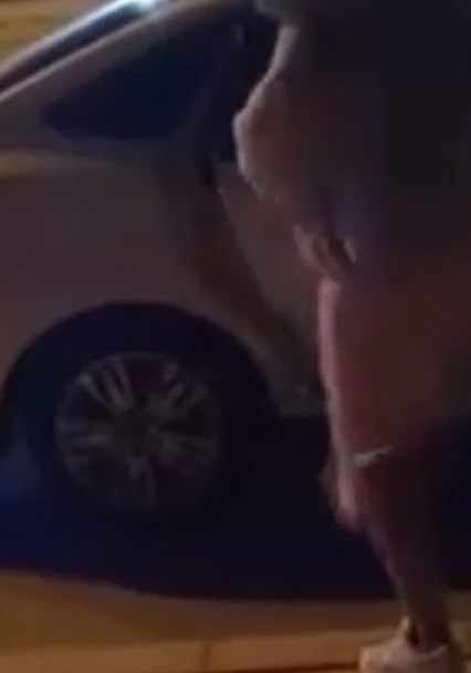 Elazığ'da bir kadın, tartıştığı şahsın arabasına saldırdı