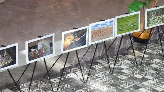 'Çiftçi Varsa Hayat Var' temalı sergi, fotoğrafseverlerle buluştu