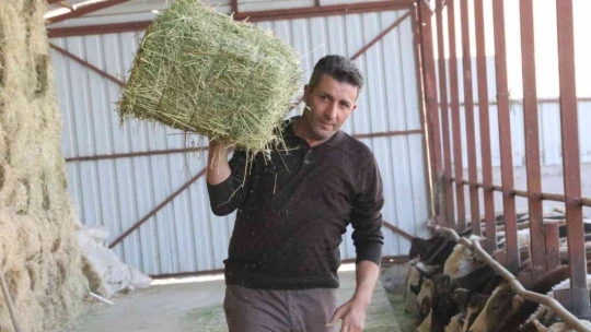 'Hayal bile edemezdik' diyen muhtar, TKDK'dan aldığı destek ile köyünü tavuk ve besi çiftliğine döndürdü