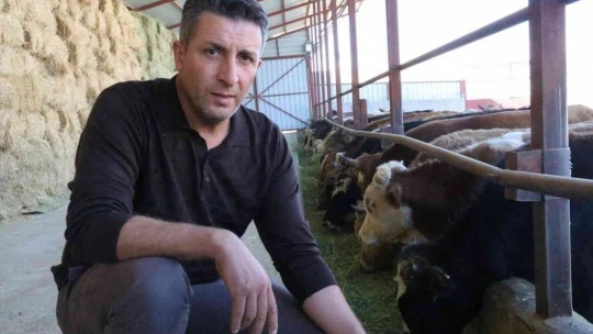 'Hayal bile edemezdik' diyen muhtar, TKDK'dan aldığı destek ile köyünü tavuk ve besi çiftliğine döndürdü