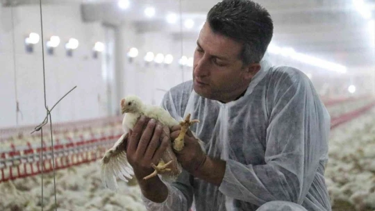 'Hayal bile edemezdik' diyen muhtar, TKDK'dan aldığı destek ile köyünü tavuk ve besi çiftliğine döndürdü