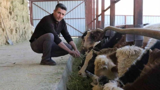 'Hayal bile edemezdik' diyen muhtar, TKDK'dan aldığı destek ile köyünü tavuk ve besi çiftliğine döndürdü