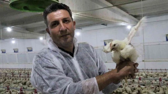 'Hayal bile edemezdik' diyen muhtar, TKDK'dan aldığı destek ile köyünü tavuk ve besi çiftliğine döndürdü
